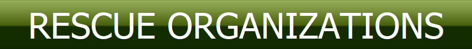   RESCUE ORGANIZATIONS  